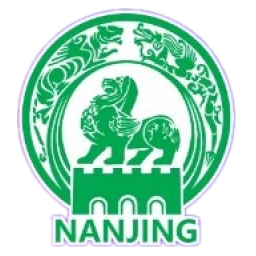 南京队